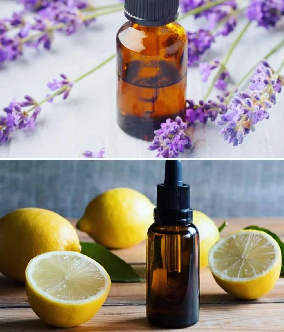 6 Manfaat dan Kegunaan Essential Oil Lavender untuk kecantikan dan kesehatan