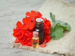 5 Manfaat Geranium Essential Oil (Minyak Geranium) Untuk Wajah dan Tubuh