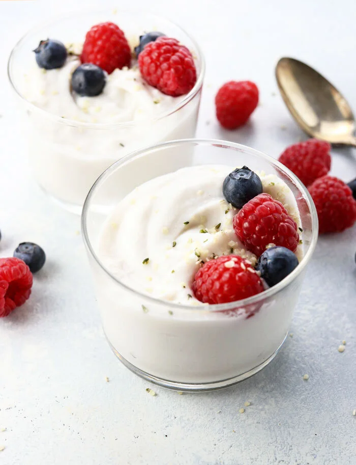 coconut-milk-yogurt-recipe.jpg