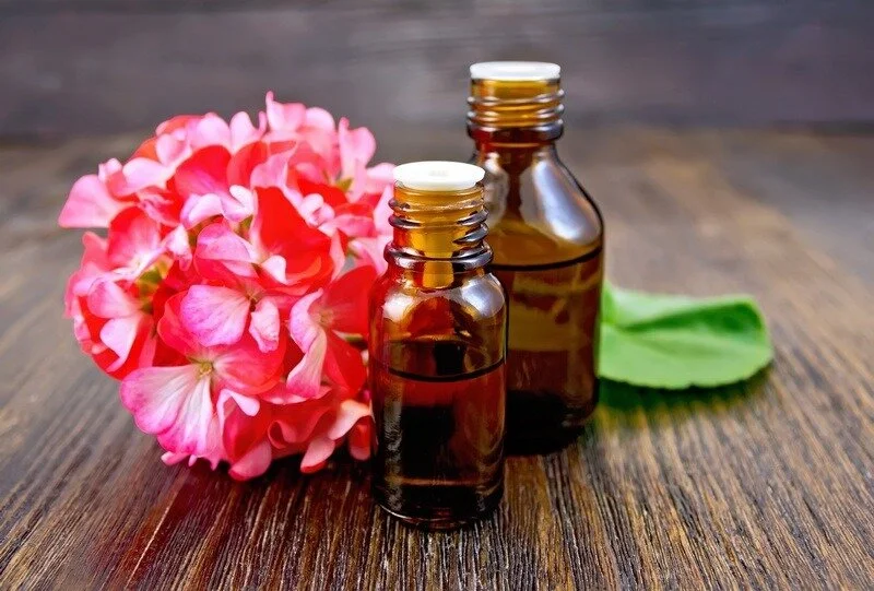 manfaat-Geranium-Oil.jpg